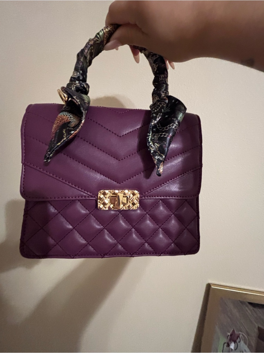 ALDO Women's Handbag in Deep Plum